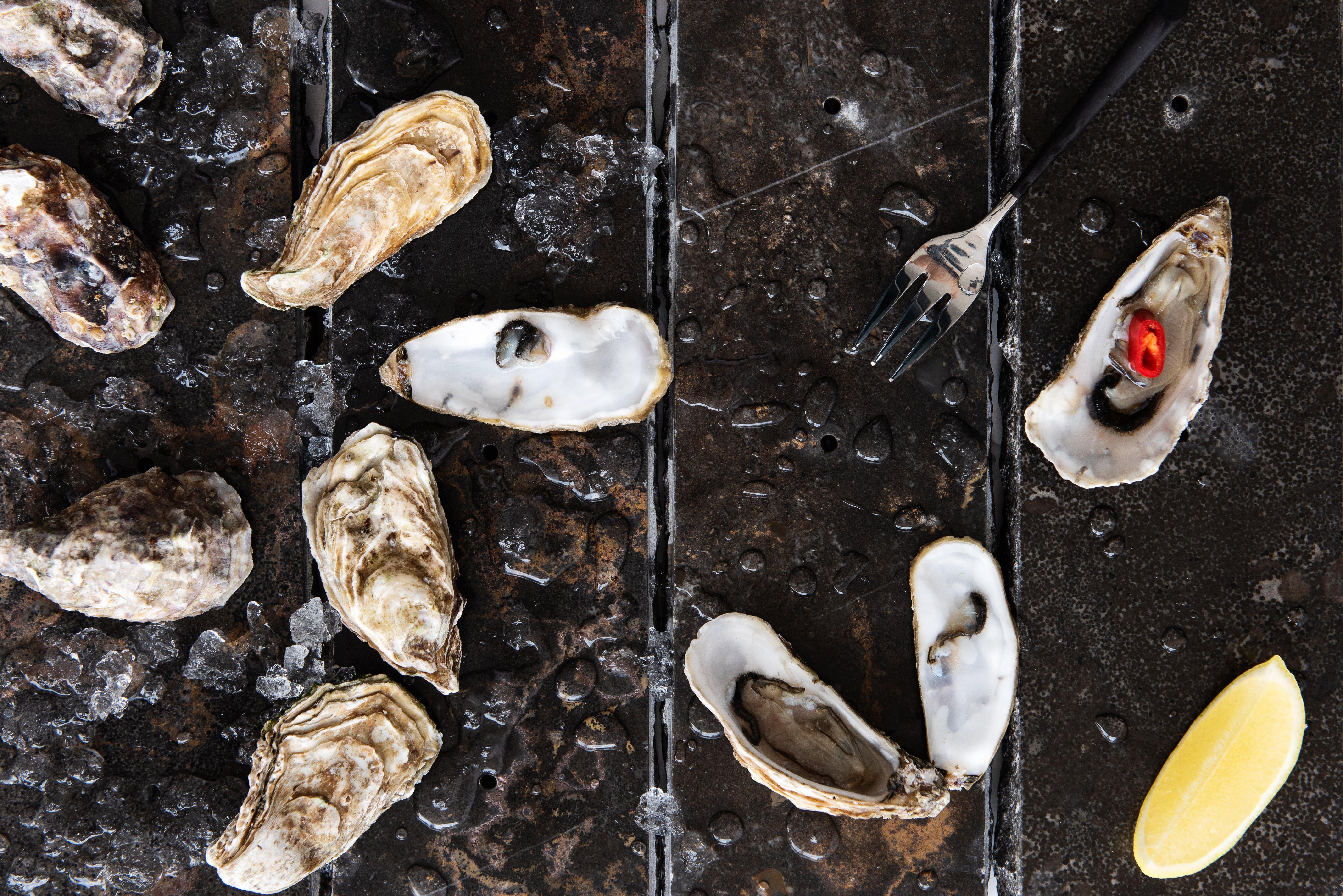 Intercontinental Dubai Marina By Ihg Hotel Exterior photo Oysters
